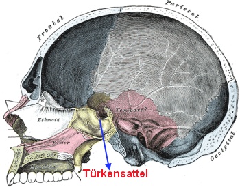 Türkensattel