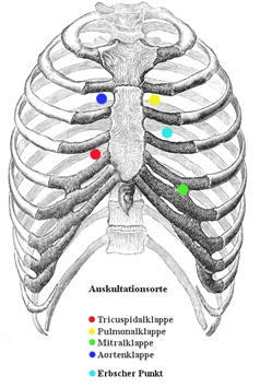Auskultations