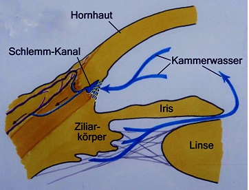 Kammerwasser